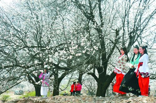 湖人vs勇士 无插件直播